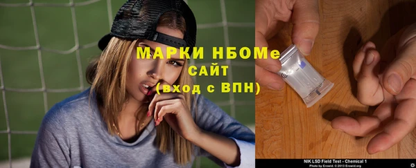 крисы Каменка