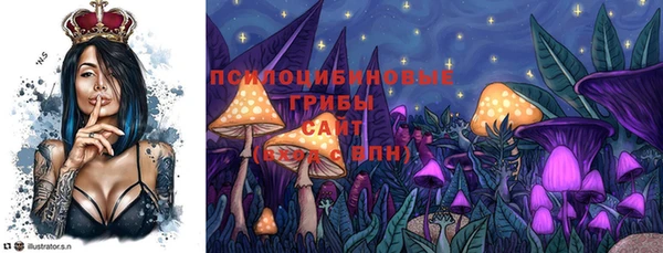 крисы Каменка