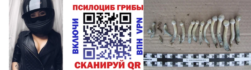 Псилоцибиновые грибы мухоморы  Купить  Великий Новгород 